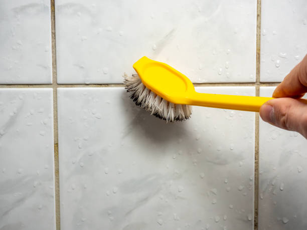 Best Mold Remediation for Specific Building Types in Sterling City, TX