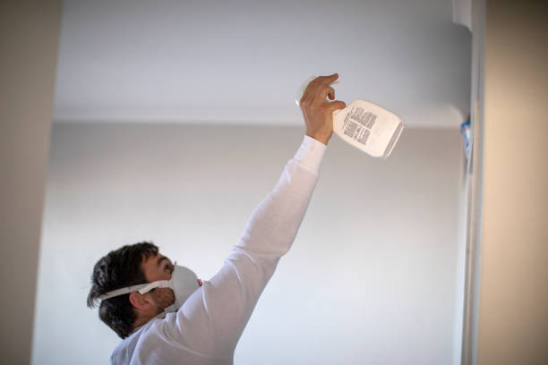 Trusted Sterling City, TX Mold Remediation Experts