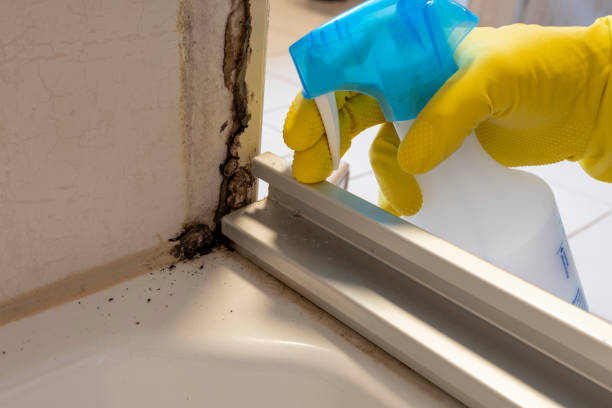 Best Post-Remediation Services in Sterling City, TX
